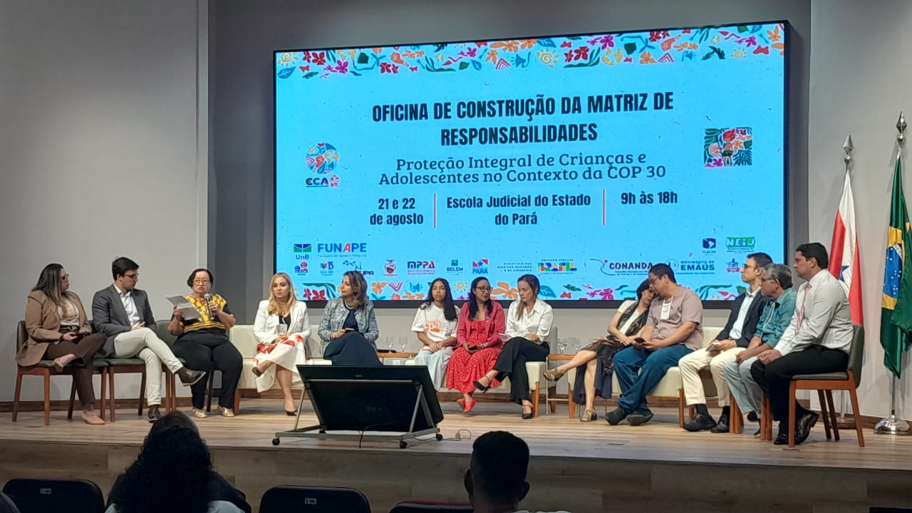 Seirdh participa de Oficina de Construção da Matriz de Responsabilidades