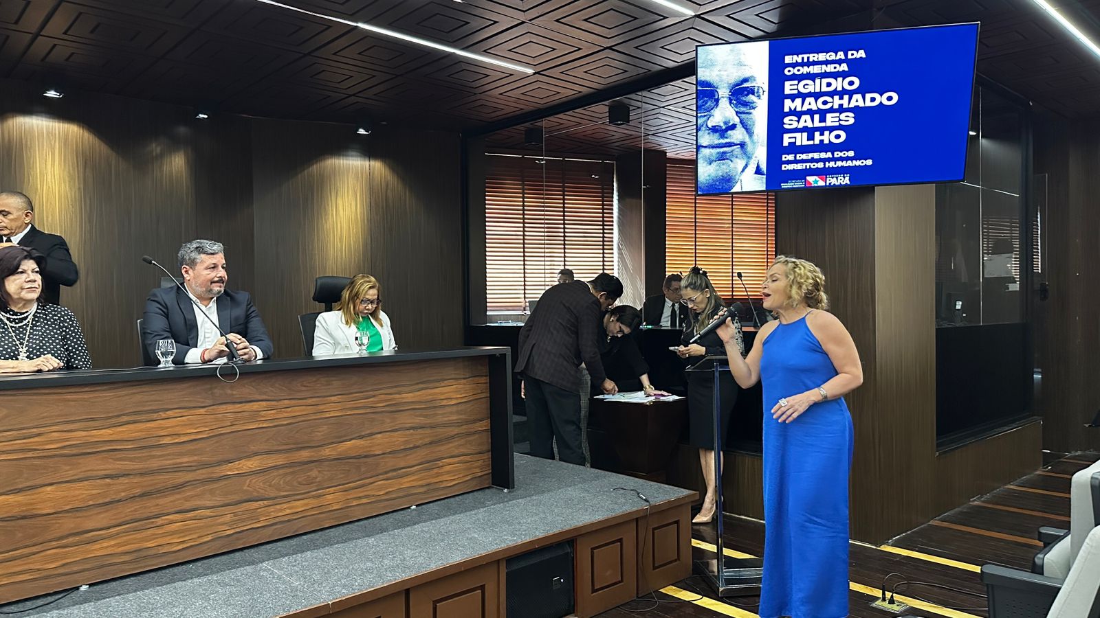 Apresentação musical