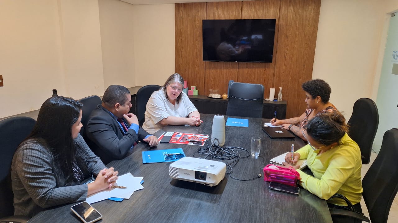 Imagem da reunião